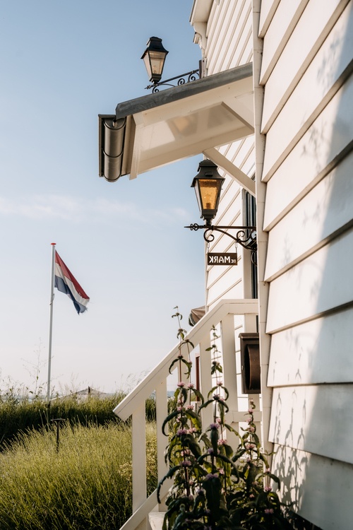 Beetroot and sanse mustard 